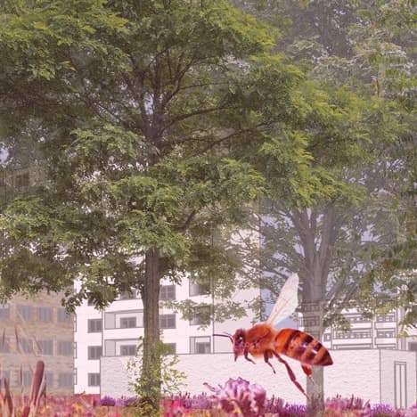 PLATTENBAU - WHAT NOW