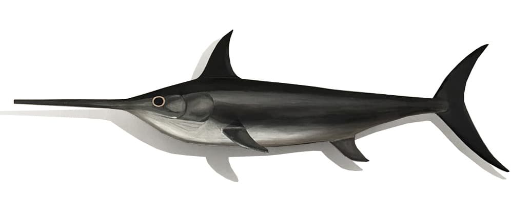 Schwertfisch, 2019, Acryl auf Holz, ca. 60cmx200cm